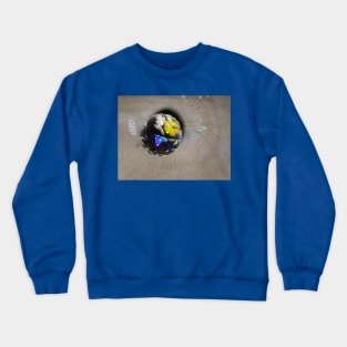 Sphere Crewneck Sweatshirt